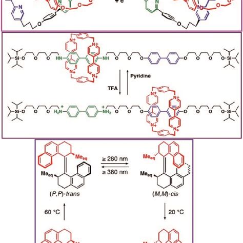 Pioneering examples of molecular machines (a catenane, a molecular... | Download Scientific Diagram