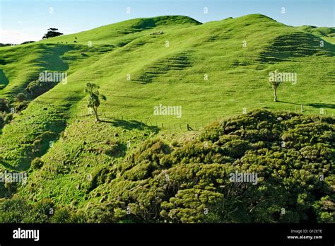 Nelson new zealand attractions hi-res stock photography and images - Alamy