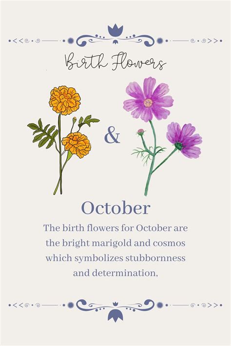 October Birth Flowers: Vibrant Marigold and Cosmos