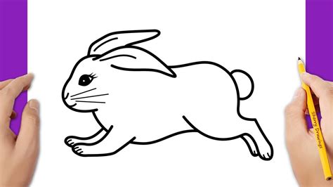 Running Rabbit Drawing