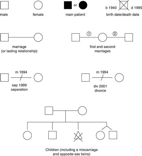 Genogram in Social Work: Worth a Thousand Words?