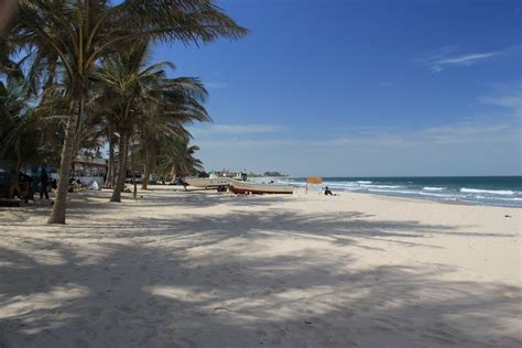 the beach is lined with palm trees and people walking on the sand near the water