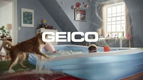 Geico Renters Insurance Add Interested Party Geico Insurance Agency Can Help With Renters Insurance.