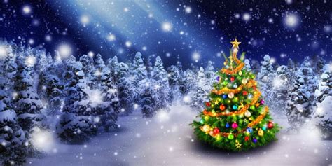 Christmas Tree in Snowy Night Stock Photo - Image of covered, blue ...