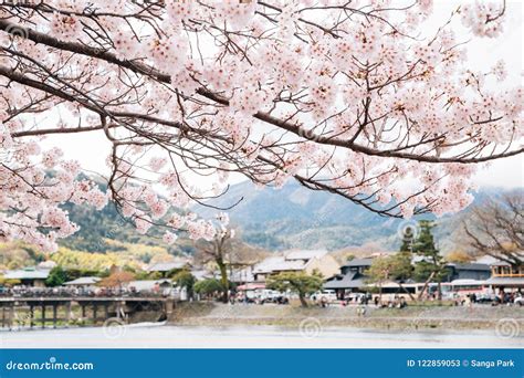 Arashiyama River and Old Village with Cherry Blossoms at Spring in Kyoto, Japan Stock Image ...