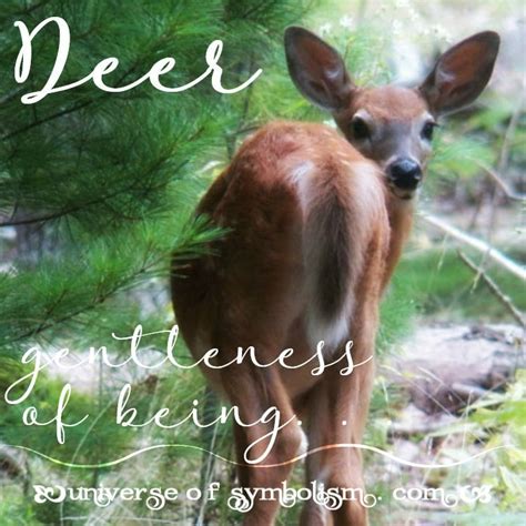 Deer Spirit Animal Meaning - Deer Spirit Animal Deer Totem Power Animal Deer Symbolism Meanings ...