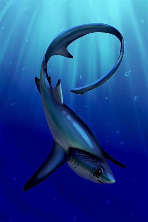 Bigeye Thresher shark by JeMiChi on DeviantArt