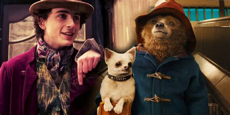 10 Wonka Actors Who Also Appear In The Paddington Movies