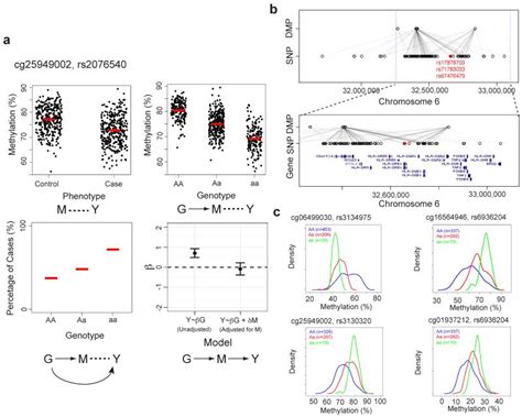 Gene environment interaction in development and disease | The Feinberg Lab