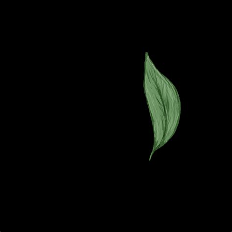 Falling Leaf Animation by gyzmo95 on deviantART | Autumn leaves, Leaves ...