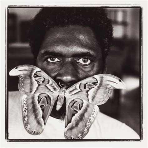 Atlas Moth from the collection of Davidson College | Artwork Archive