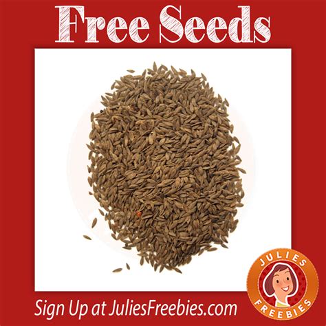 Free Lettuce Seeds - Julie's Freebies