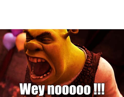 Wey nooo !!! - Plantillas de Memes