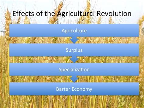 Agricultural Revolution Effects of the Agricultural Revolution What