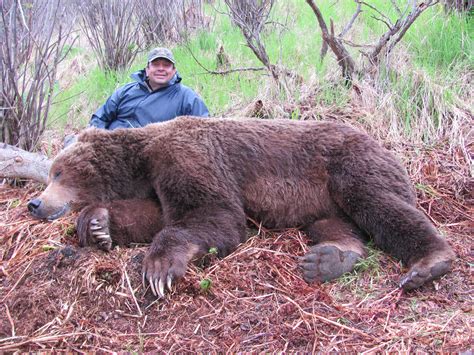 Alaskan Bear Hunting - Rohrer Bear Camp - KodiakRohrer Bear Camp