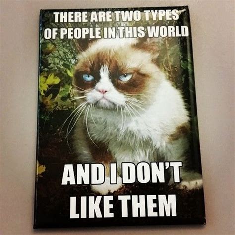 Grumpy Cat Two Guy funny memes meme lol humor lmao christmas memes ...