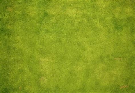 Premium Photo | Soothing Meadow Grass Texture Background