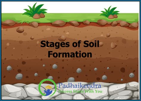 Stages of Soil Formation | Padhai Kendra