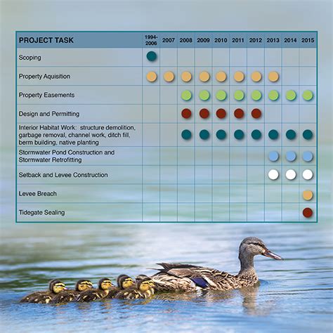 Tulalip Qwuloolt Estuary Restoration Project - Timeline