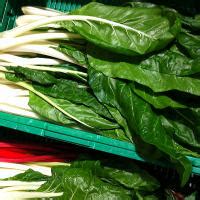 Swiss Chard: Health Benefits and Nutritional Value