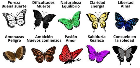 Significado de las Mariposas por Colores y Simbolismo Espiritual - Enciclopedia Significados