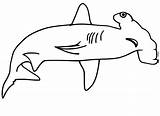 Hammerhead Shark 3 Coloring Page  Free Printable Pages For Kids sketch template