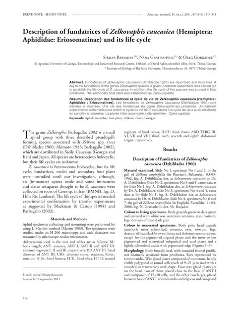 (PDF) Description of fundatrices of Zelkovaphis caucasica (Hemiptera ...