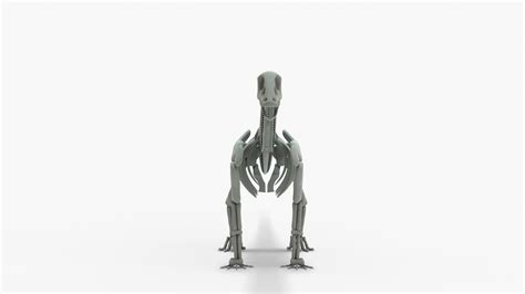 Brontosaurus Rigged Skeleton 3D model - TurboSquid 2122328