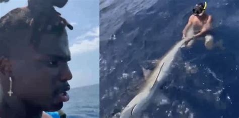 PETA slams NFL agent Drew Rosenhaus for wresting shark on video - TheBlaze