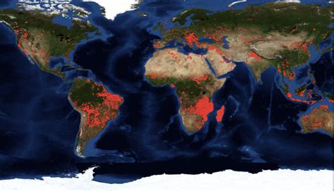 Is Earth on fire? | Earth | EarthSky