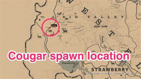 Hunting Simulator 2 Cougar Locations - BEST GAMES WALKTHROUGH