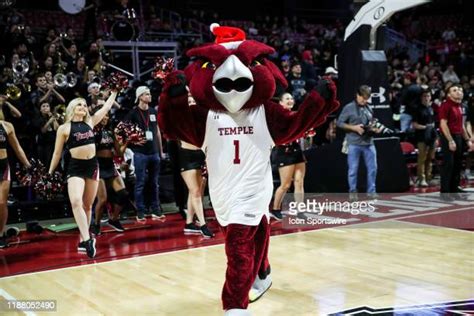 Temple University Mascot Photos and Premium High Res Pictures - Getty ...