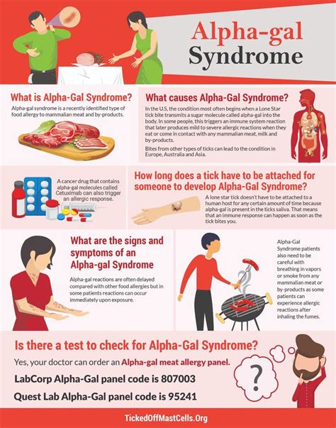 What is Alpha-Gal Syndrome? – TICKED OFF MAST CELLS | Types of food ...