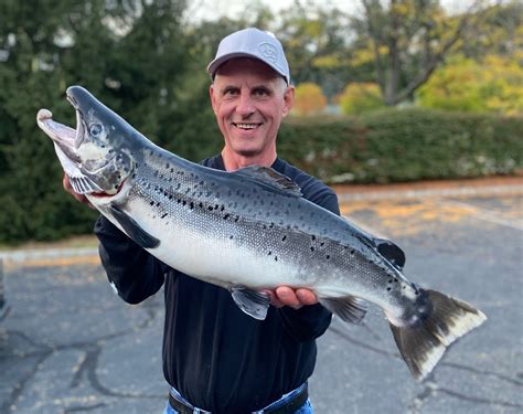 NJDEP| Fish & Wildlife | New Record Landlocked Salmon Caught