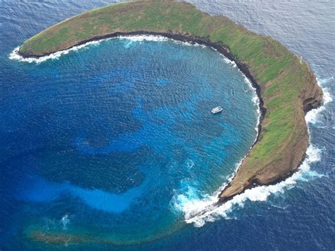 Molokini Crater Snorkeling | Kayak & Canoe to Molokini