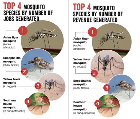 Mosquito control: Protecting health, adding revenue | Pest Management Professional