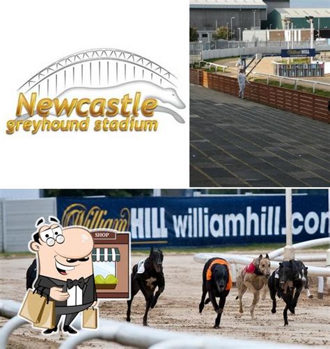 Newcastle Greyhound Stadium in Newcastle upon Tyne - Restaurant reviews