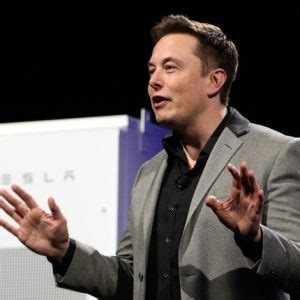 Elon Musk's renewable master plan