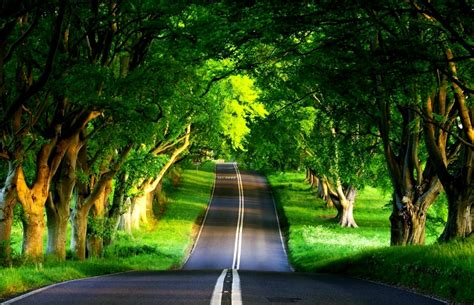 Landscapes Road Country Landscape Nature Wallpaper - Best Nature Wallpaper Hd - 1545x997 ...