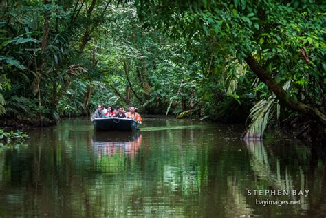 Photo: Tourists travel by boat through the canals of Tortuguero ...