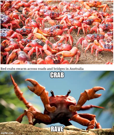 Crab Rave - Imgflip