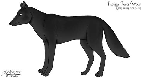 Florida Black Wolf by Ognimdo2002 on DeviantArt