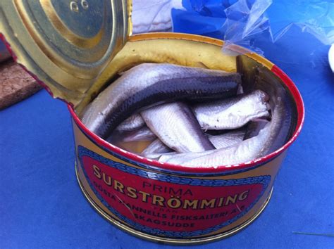 Surströmming: Sweden's very, very stinky fish dish - InsureandGo