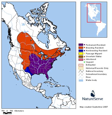 Tennessee Watchable Wildlife | Common Grackle - Habitat: WATER