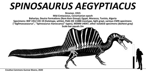 Spinosaurus 2020 neotype | Spinosaurus, Ancient animals, Prehistoric animals