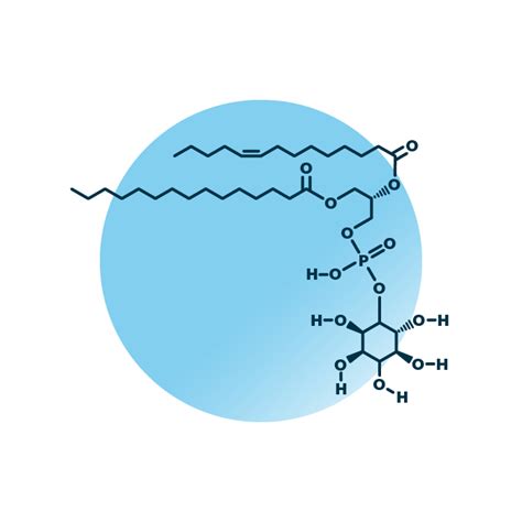 Phosphatidyl­inositol Analysis - Lipid Analysis - Lipotype GmbH