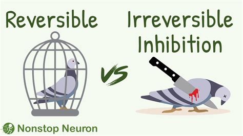 The BEST ANALOGY to Understand Difference Between Reversible vs Irreversible Inhibition - YouTube