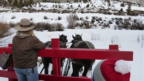 Colorado Sleigh Rides | Horse-Drawn Sleighs and Wagons in CO