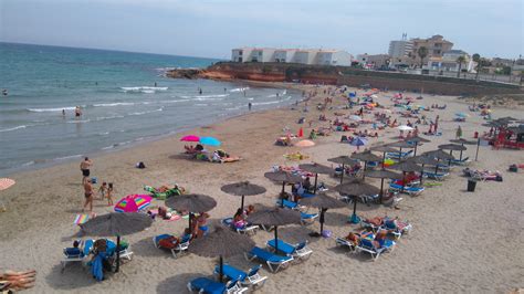 Costa Blanca Beaches Open Again After Mystery Fish Incidents - The Leader