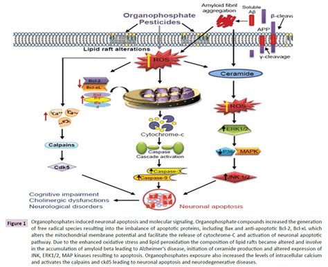 Organophosphates Induced Alzheimer's Disease: An Epigenetic Aspect